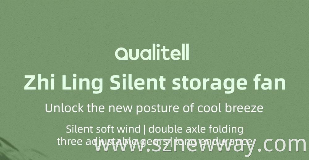 Qualitell Silent Storage Fan